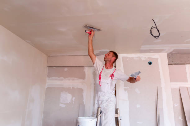 Best Water-Damaged Drywall Repair  in Remgton, IN